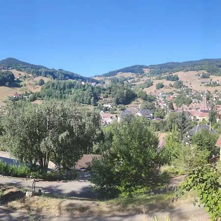 Au Vieux Cedre * Lapoutroie